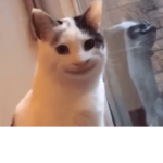 KoolGroupKool