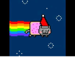 nyan_catty
