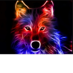 Dennis_Juduc