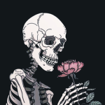 ToixcBlocx