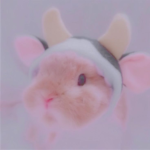 | - Bunny Squad - |