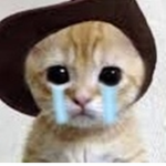straykidneys
