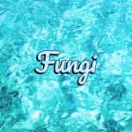 Fungi Studios!