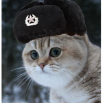 KAT.jpg
