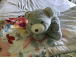 The Bear and Penguin Group