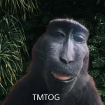 the monkey team official group
