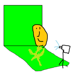 SCREENS