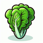 letuce studios…...