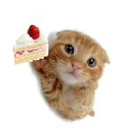 farisyalykha복숭아