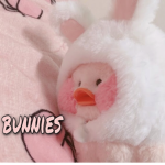 bunnies <3.