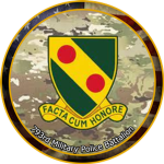 MP | 793rd Military Police Battalion