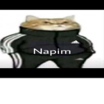Naruto ab