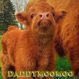 DADDYMOOMOO'S BARN AKA HOMESTORE
