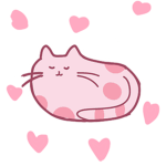 Pink cat clothing