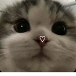 XRealGamerX