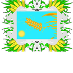Пшеница