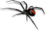 Super Batman's Spiders