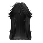 Black Fluffy Long Layered Hair