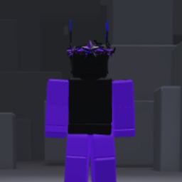 void RUNNN