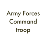 1st Cavalry Division,