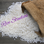 Rice Studios!