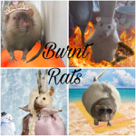 Burnt rats