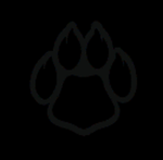 Jaguar Productions