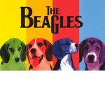 Team Beagle