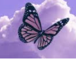 Butterfly Gym club