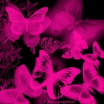 glittrfield