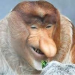 VanillaActor Roblox Group