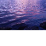 The cult of the lake