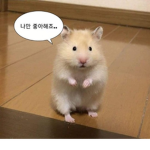 나는 곤듀