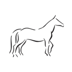 Evergreen Equine Academy