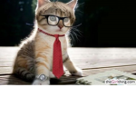 Da Cool Cat