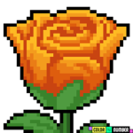 The rose bowl