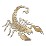 Cohortes Circitores
