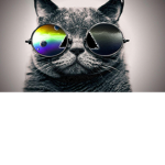 cool kidsssssssssssssssssssssssssss