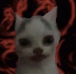 Moonpai