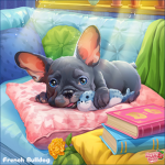 Frenchie fans 4ever