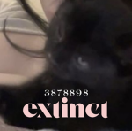 ! extinct