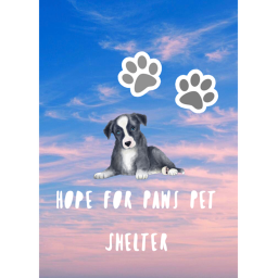| HOPE FOR ANIMALS |