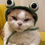 ninjamingo12