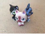 SSS Warrior Catz