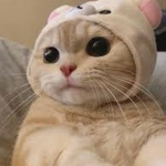 漢bladis〆