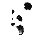 PANDA SQUAD V2