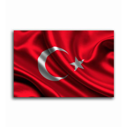 Savaş alanı Türk Yapımı! [BETA]