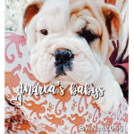 Andrea’s babys