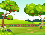 The Apple's Garden