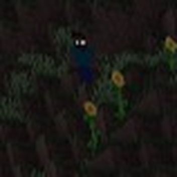 SURVIVAL THE SONIC THE KILLER